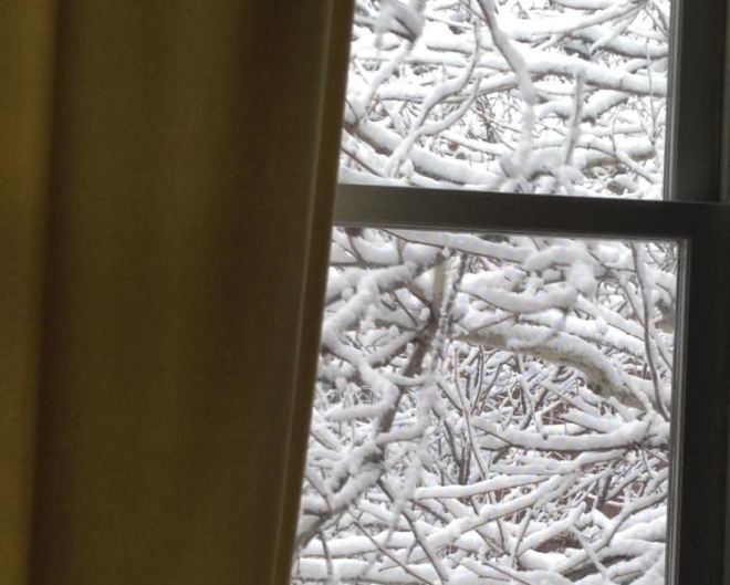 Chicago-Illinois-7-42am