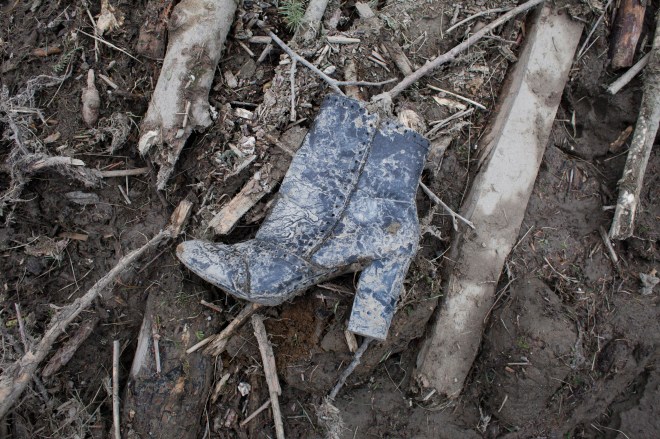 Fourteen Killed, Many Missing After Major Washington State Mudslide