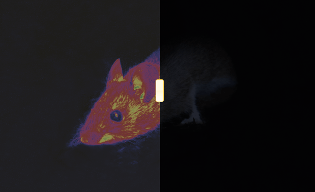 Screen Shot 2014-03-25 at 2.26.08 PM