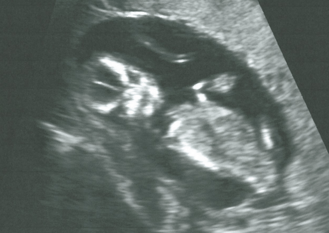 Screen Shot 2014-03-31 at 1.18.45 AM