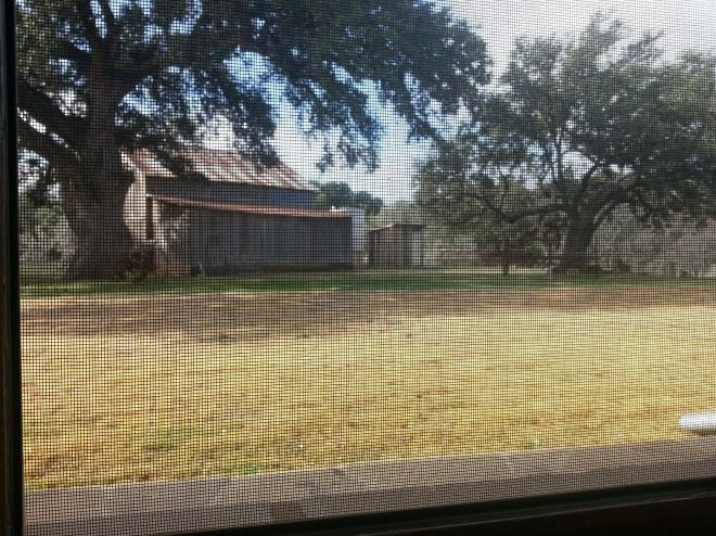 Sisterdale-TX-1117am