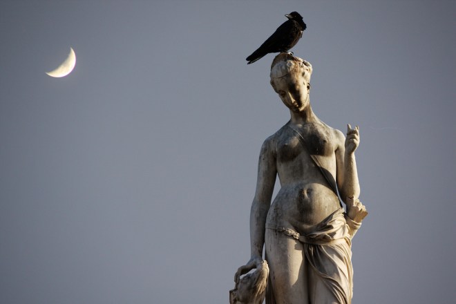 13088747563_3394ddb557_b