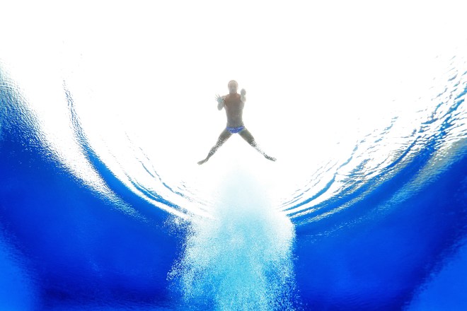 Diving - 15th FINA World Championships: Day Eight