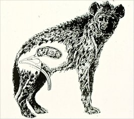 29saw_drawing-blog480