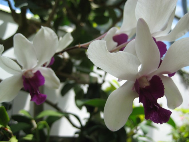 3534527390_71abc3b0aa_o