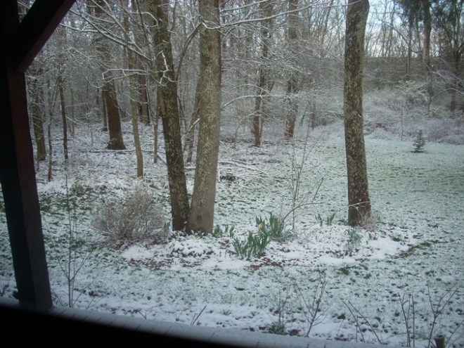 Oxford, OH, 8-42 am Sunday afternoon was 82 degree