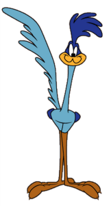 roadrunner