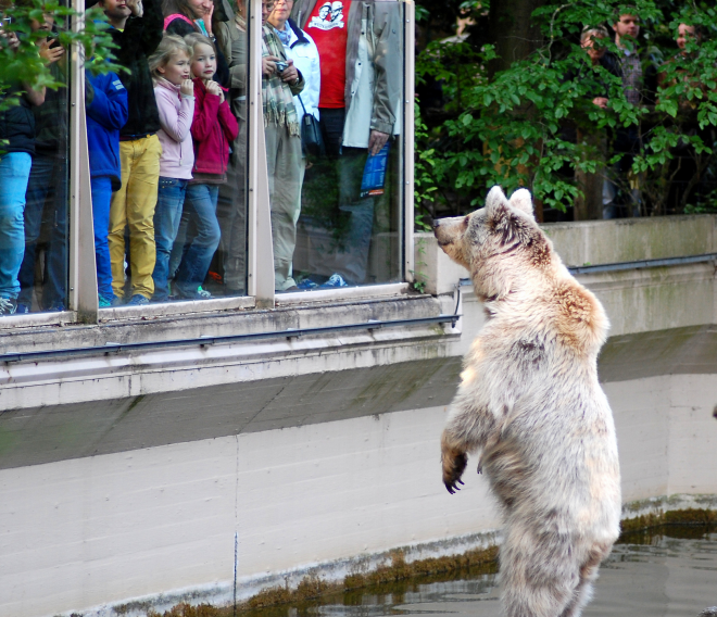 Screen Shot 2014-04-22 at 2.07.38 AM