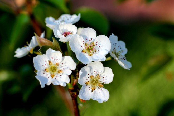 5590670127_2043427f52_b