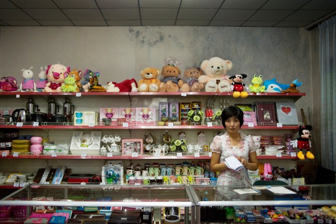 A Portrait of North Korea