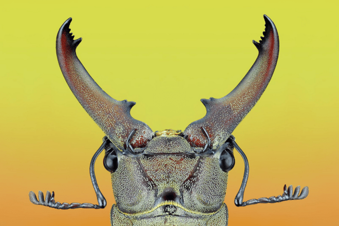 Screen Shot 2014-05-15 at 4.01.07 PM