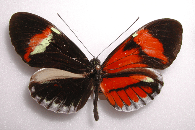 Screen Shot 2014-05-23 at 1.59.39 PM