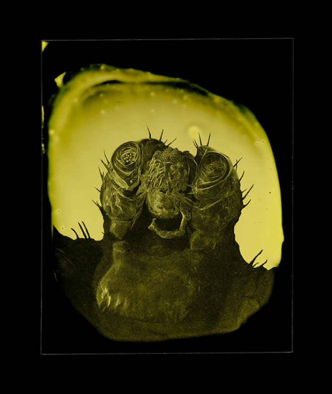 Screen Shot 2014-05-29 at 11.17.04 AM