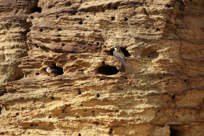 14095556628_3b311a150e_b