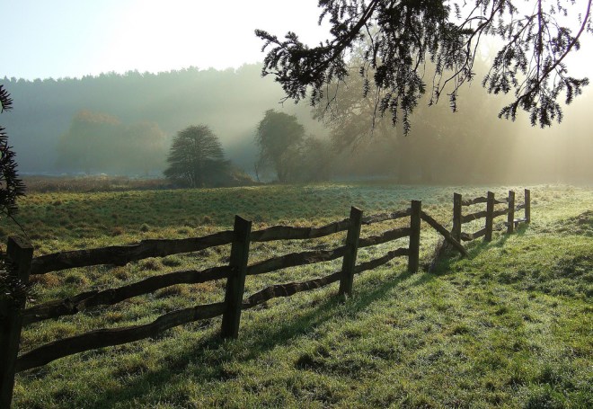 3306277484_48bd1c5946_b