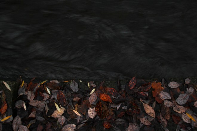 6337641903_774c9f44df_b