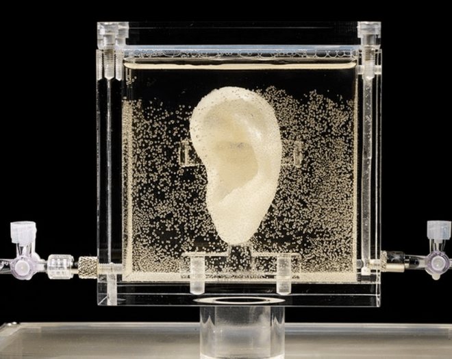 Screen Shot 2014-06-05 at 10.41.14 AM