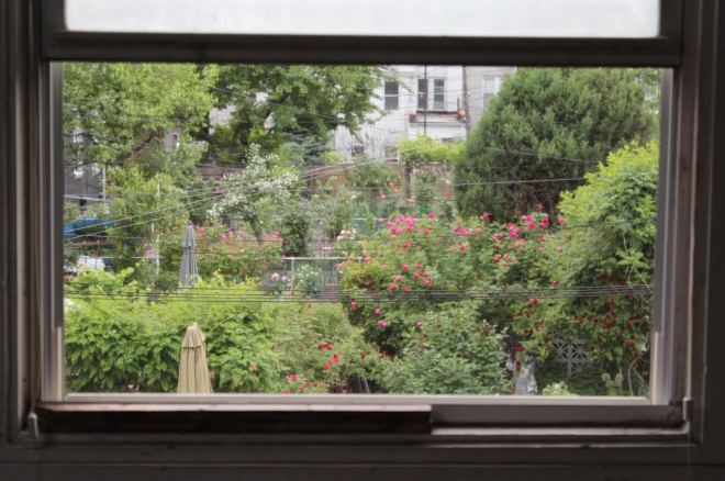 Williamsburg Bklyn 4pm