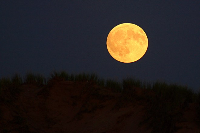 1252873239_bfaf0ae0a2_b