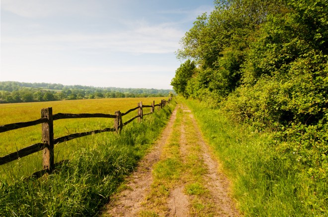 7313560214_b59cc14868_k