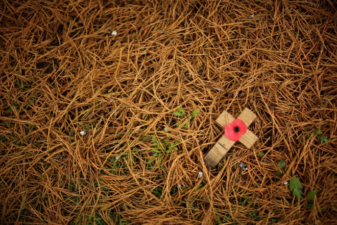 Preparations For Remembrance Sunday And Armistice Day