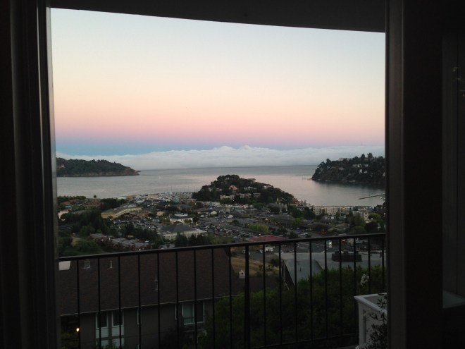 Tiburon-CA-848 PM
