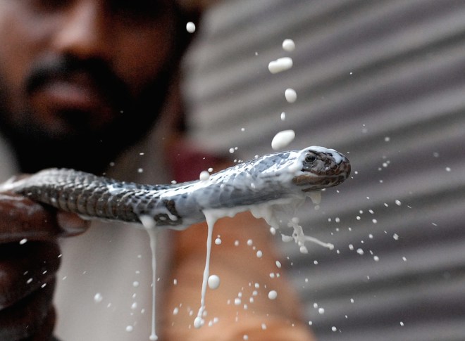 INDIA-HINDU-FESTIVAL