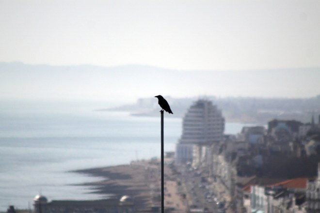 5602727271_57d1602d5a_b