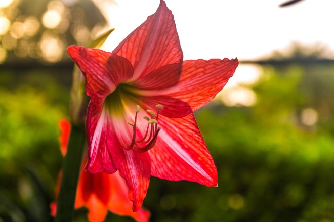 8721020776_ebbe32e519_k