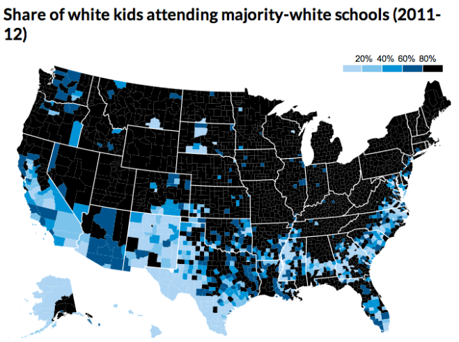 School Demographics