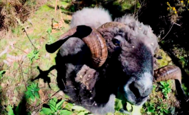 screen-shot-2014-09-02-at-10-37-54-am-e1409669204890