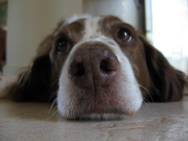 183750606_68fe81565f_o