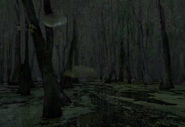 dish_JeanineMichnaBales