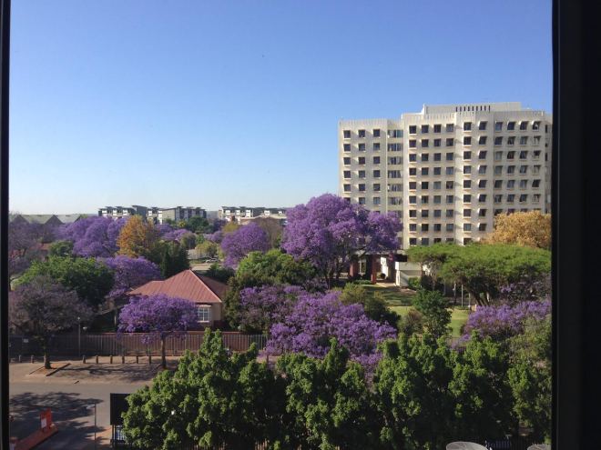 Pretoria-South Africa-804am