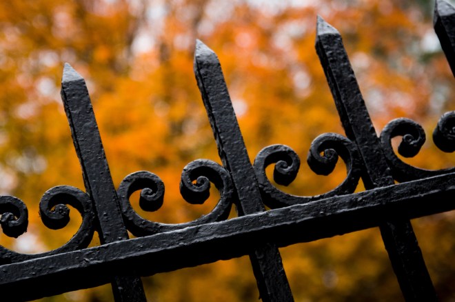 15534608129_47f1a38a89_k