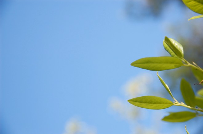 3727970809_14383ee409_b