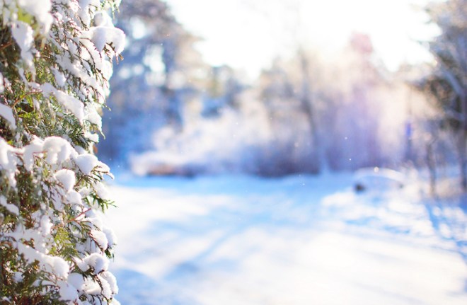 6831075027_b95d0f337a_b