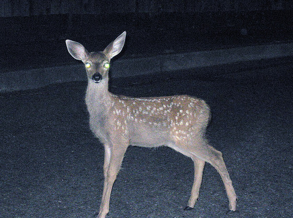 874357185_e02e570cdd_z