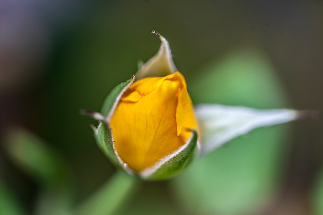 9779177515_7e45834603_b