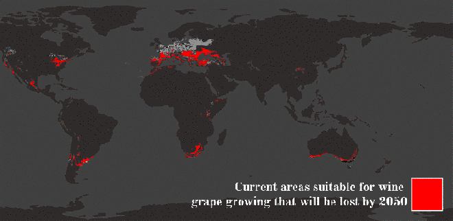 anigif_mobile_15f184b445b9e9803e853ce865f5bd04-5