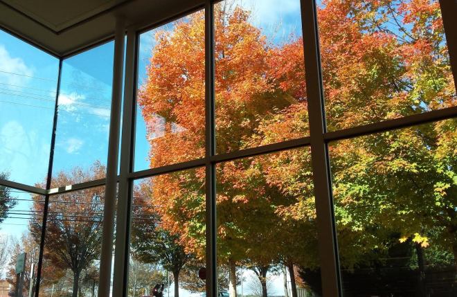 Gaithersburg-MD 11-04 am