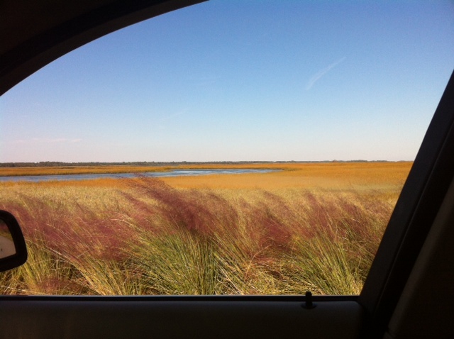 Kiawah-Island-south-carolina