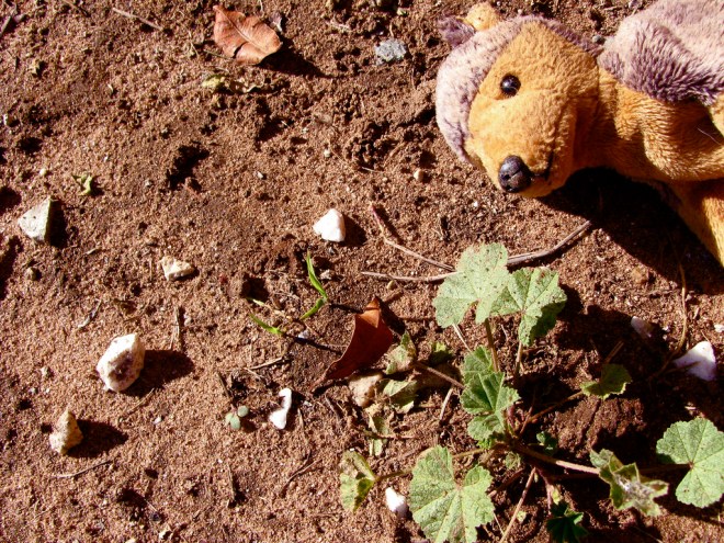 2189131718_ee683a9d22_b