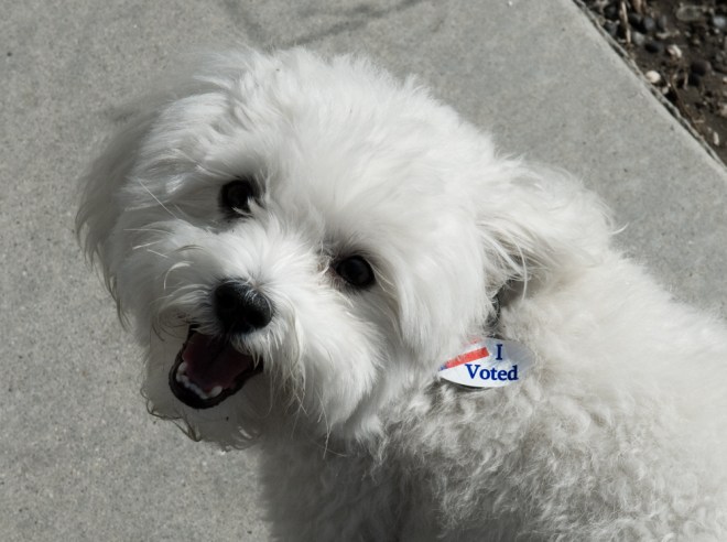 3004027422_392296ac9b_o