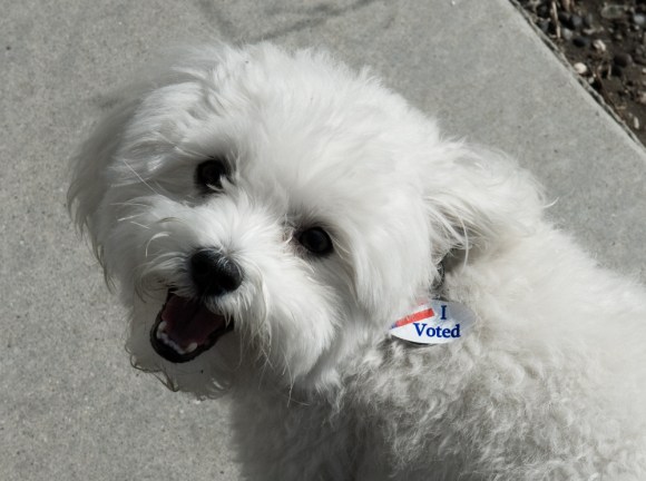 3004027422_392296ac9b_o