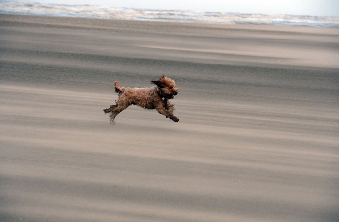 High Winds And Large Waves Hit The North West Coast Of The UK And Northern Ireland