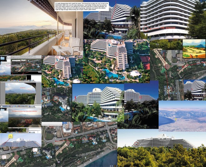 VFYWC-235-Guess_Collage