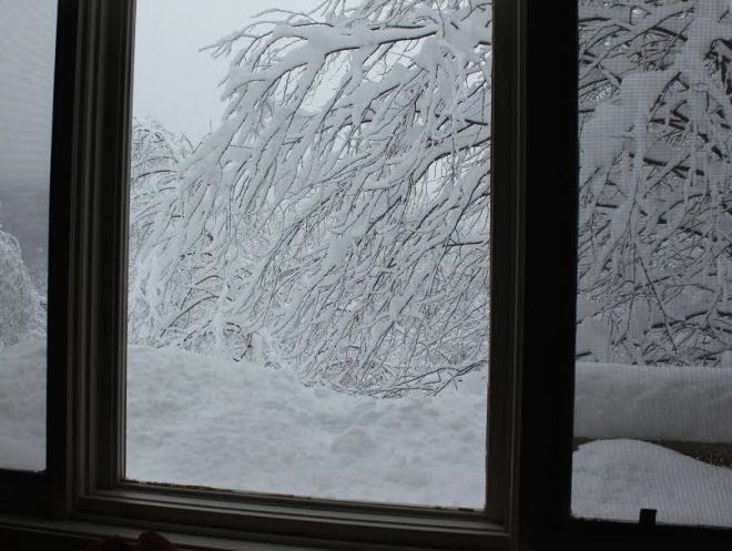 Warren, Vermont,10-14am