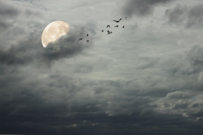 5119227095_c19a17e31d_b