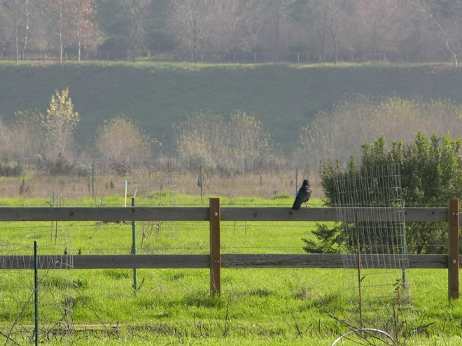 5289569464_ea8bfdd2b8_b